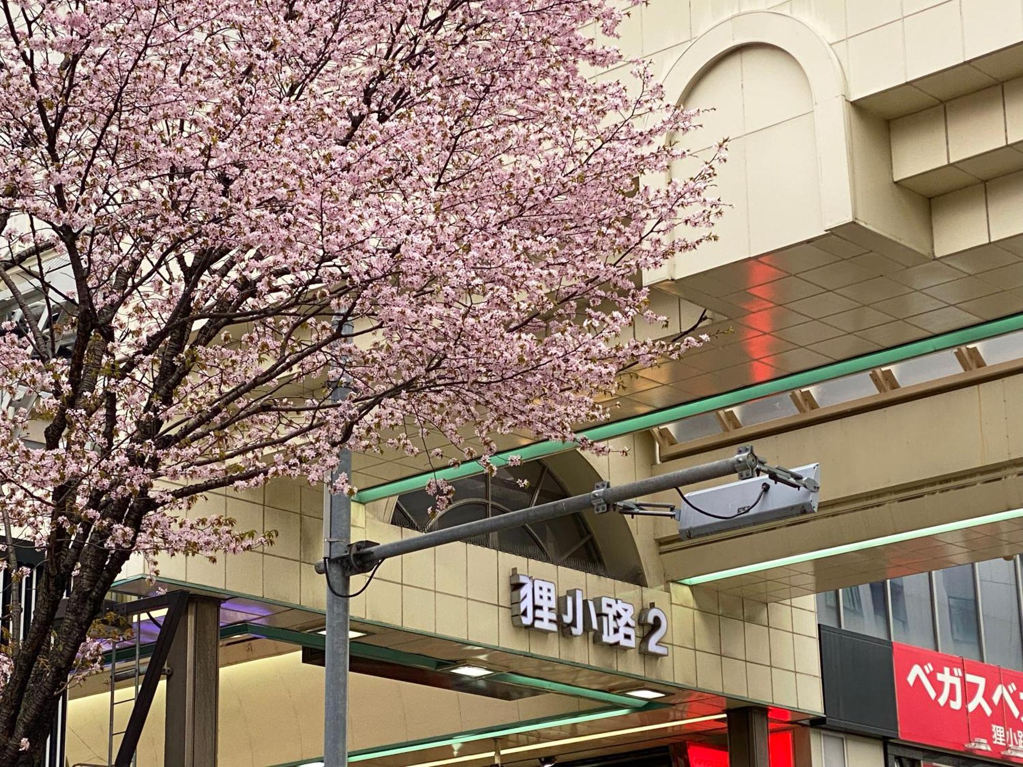 Mercure Hotel Sapporo Zewnętrze zdjęcie