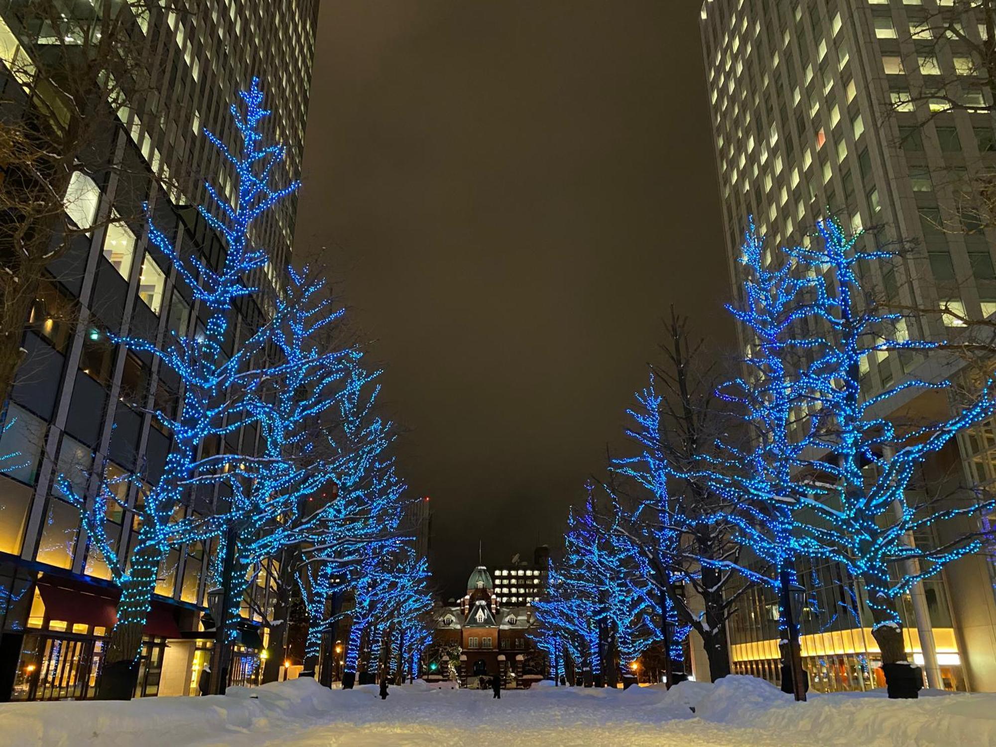 Mercure Hotel Sapporo Zewnętrze zdjęcie